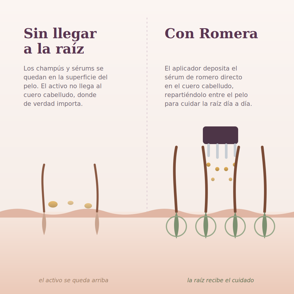 Sérum Anticaída de Romero + Aplicador